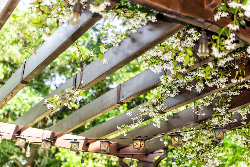 Pergola en fleurs